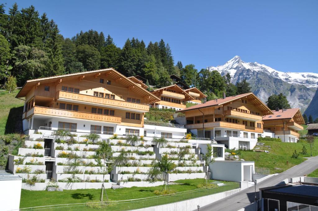 Chalet Mittellegi Villa Jungfrau Exterior photo